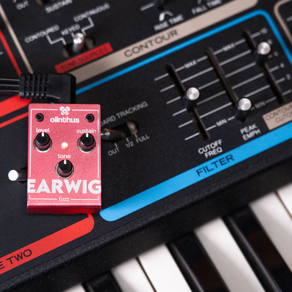 Olinthus EARWIG【ミニマムサイズ】【MUFF系ファズ】（新品）【楽器