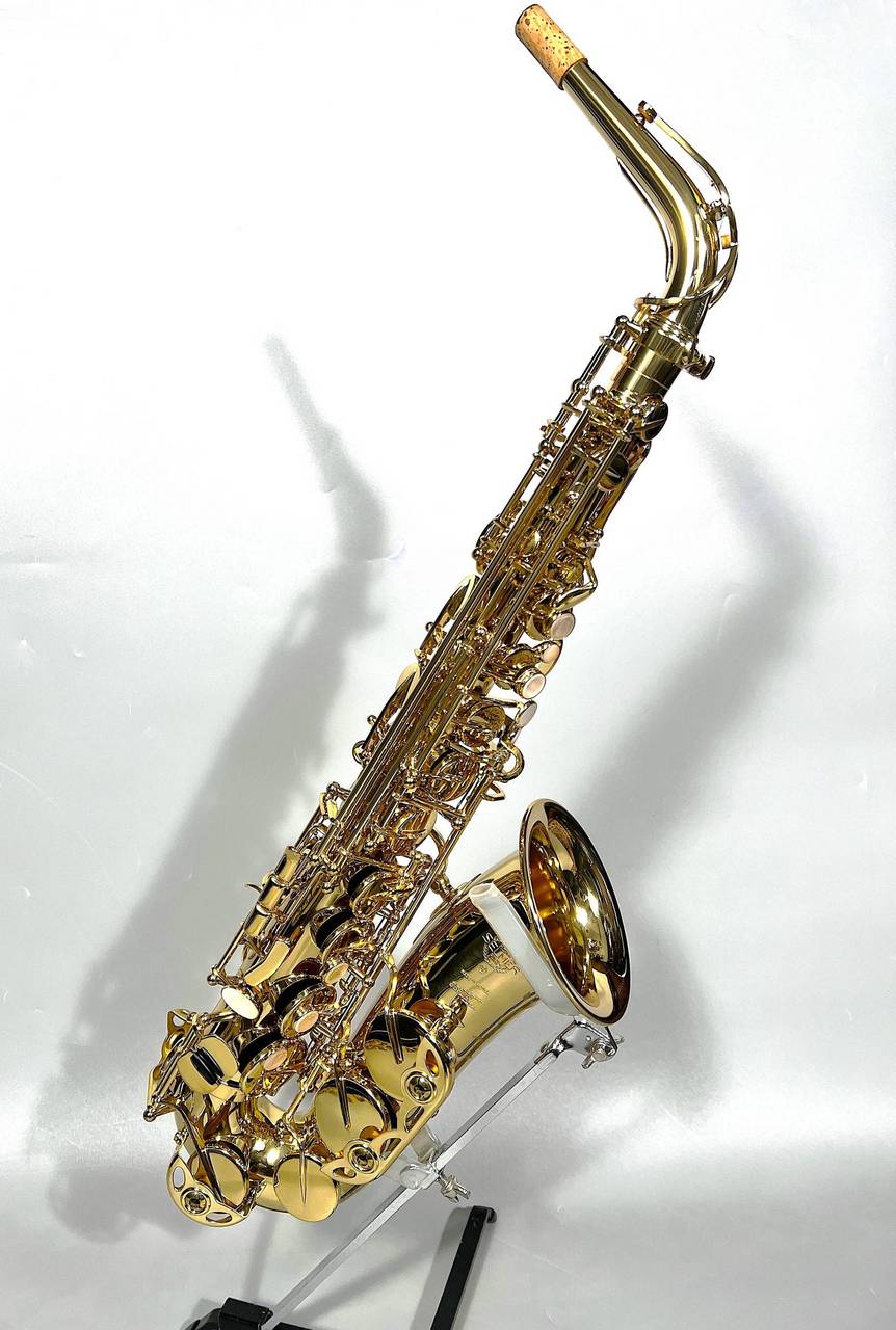 H. Selmer SERIES3 jubilee AS（中古/送料無料）【楽器検索デジマート】