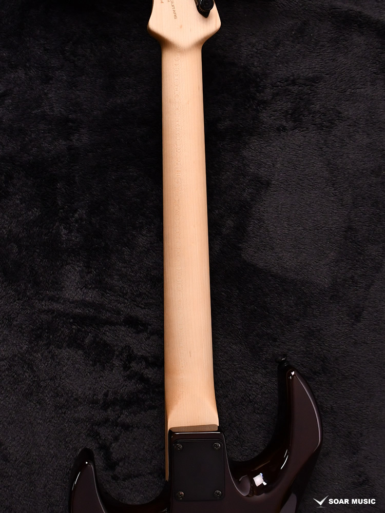 STR GUITARS James Tyler Guitars Design HSH JTG JTD0004