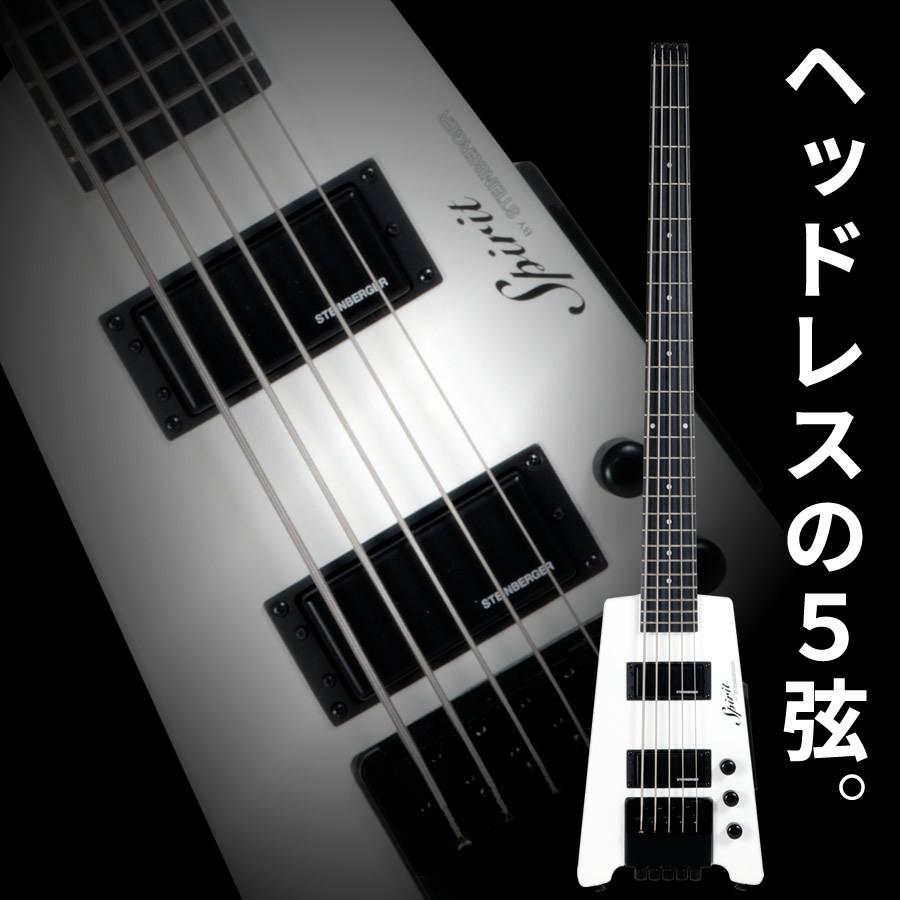 Steinberger Spirit XT-25 Standard 