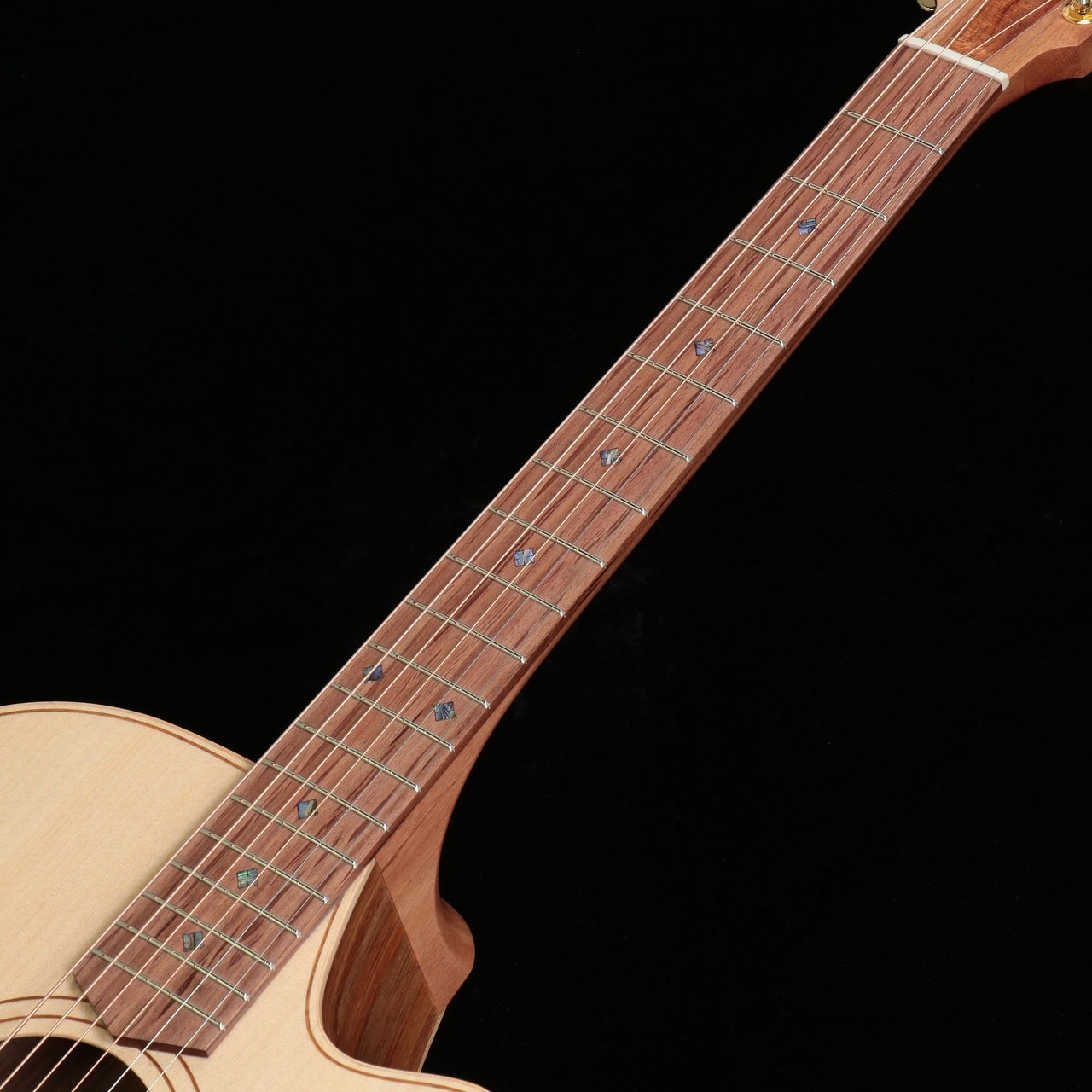 Cole Clark FL Dreadnought CCFL2EC-BB Bunya Top Blackwood