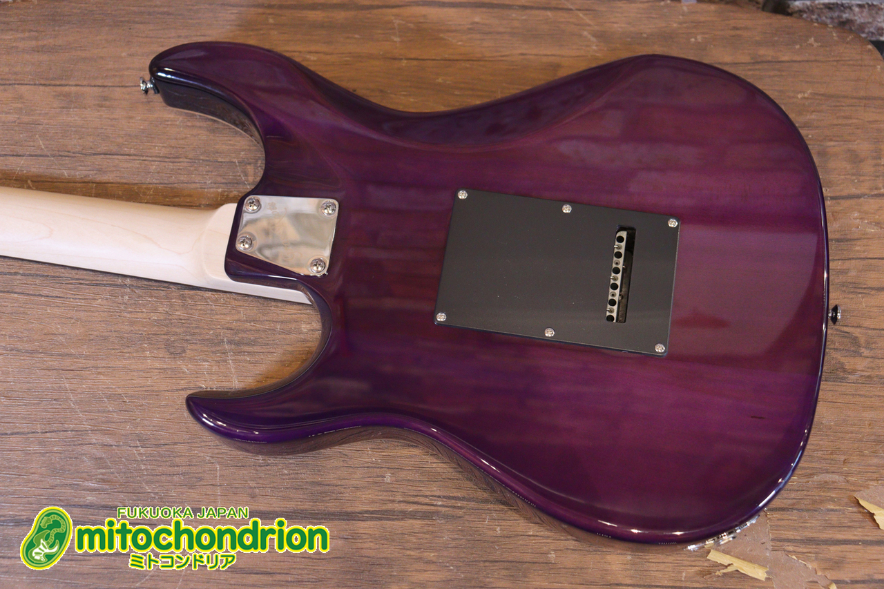 GrassRoots G-SNAPPER-CTM / See Thru Purple（新品）【楽器検索