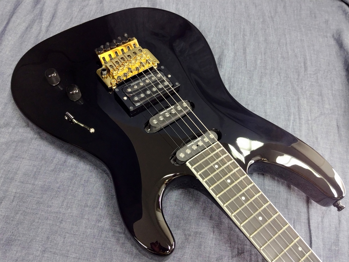 Aria Pro II RS-CUSTOM BK(Black)（B級特価）【楽器検索デジマート】
