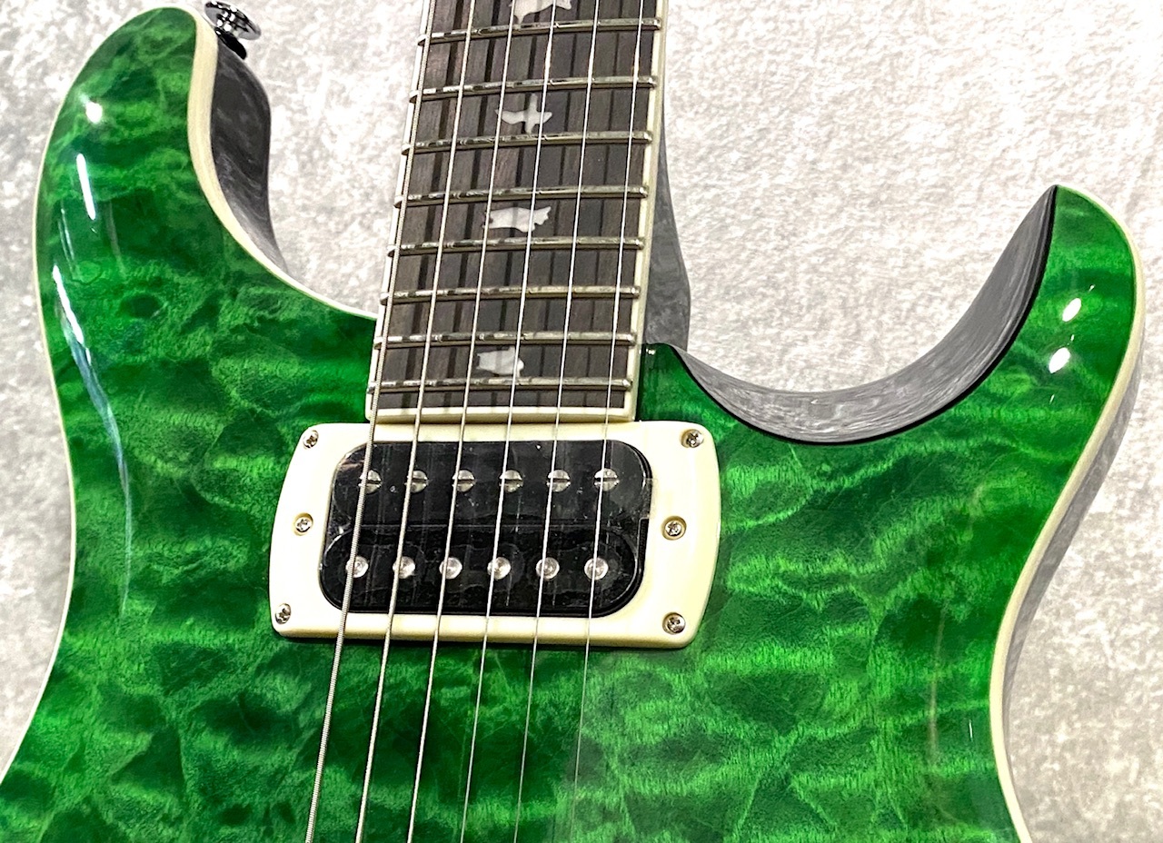 Paul Reed Smith(PRS) 【鱗のような良杢!】SE Custom 24 Quilt Package