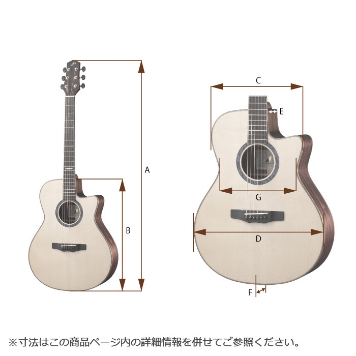 Morris R-011 SBU (シースルーブルー) エレアコギター ソフトケース