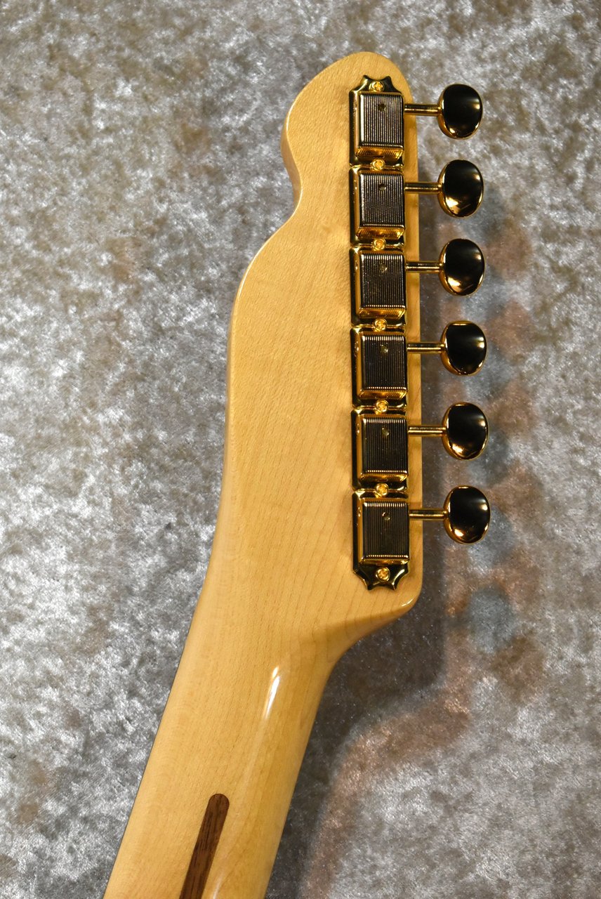 Tokai ATE-101B/G BBR #250234【待望の入荷、3.76kg】（新品）【楽器