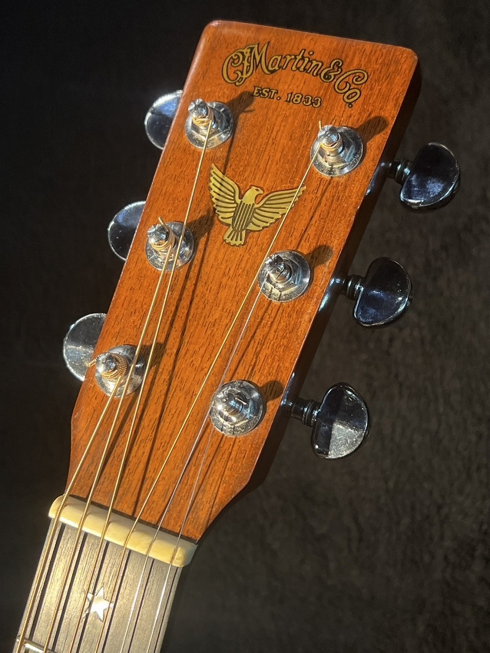 Martin 【Vintage】 Martin D-76 【1976年製】【試奏動画あり
