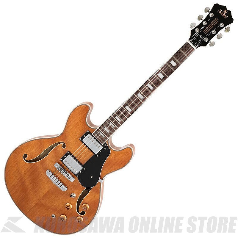 Aria Pro II TA-200 MH TA series セミアコースティックギター（新品