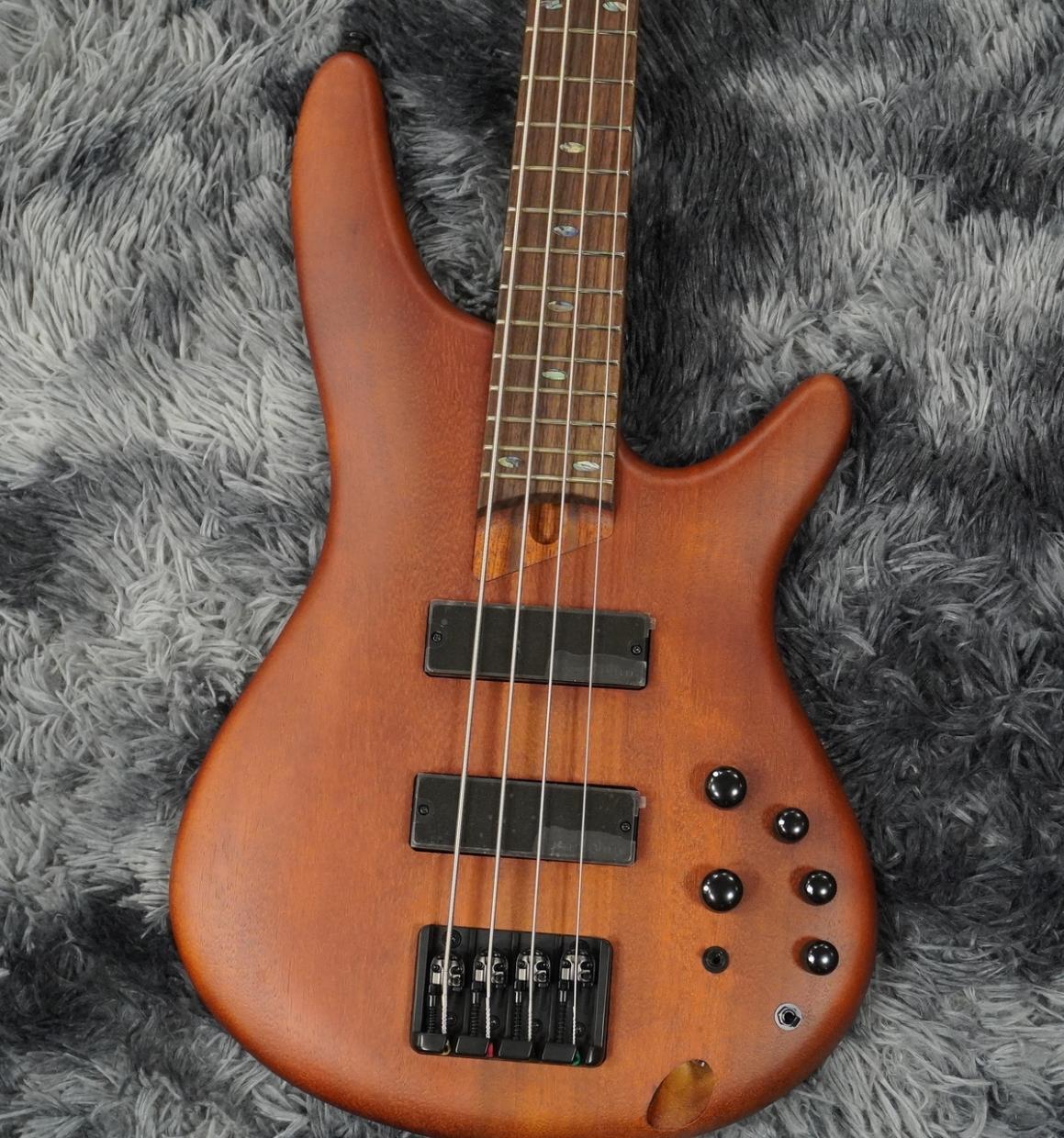 Ibanez SR500E-BM (Brown Mahogany) 【特価】 【生産完了モデル