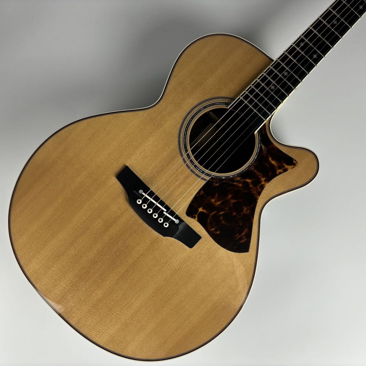 Takamine DMP50S NAT エレアコギター セミハードケース付属