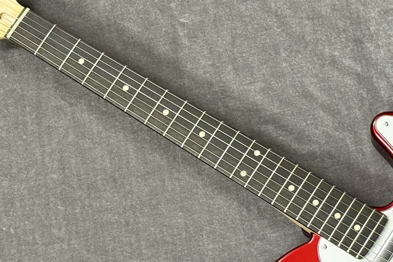 FUJIGEN BCTE100RBD (CAR/R) ｜イケベ楽器店オンラインストア
