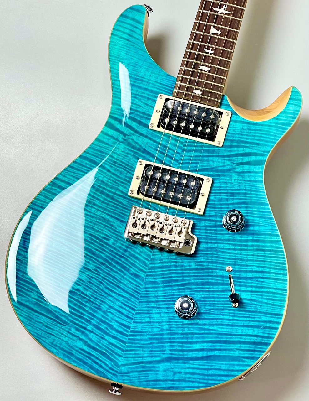 Paul Reed Smith(PRS) SE Custom 24 -Blue Matteo(Natural Back)- 2025