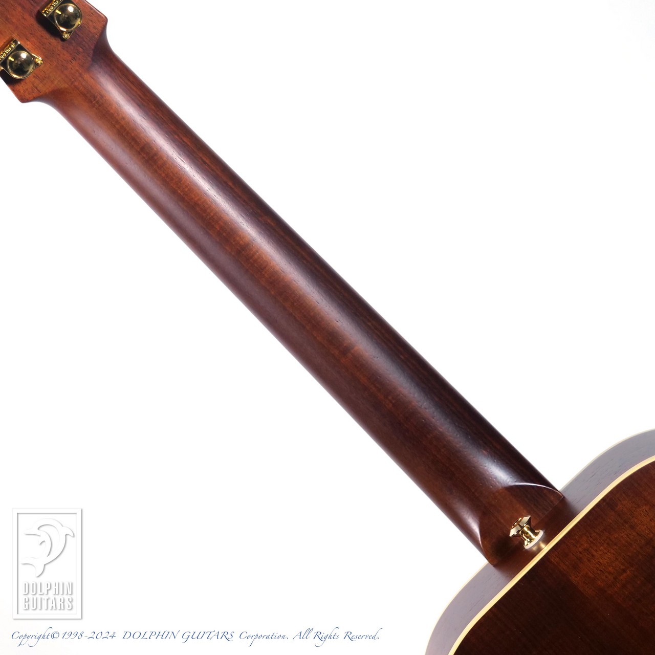 MATON EMD6 (Mini Maton Diesel Special)|ドルフィンギターズ