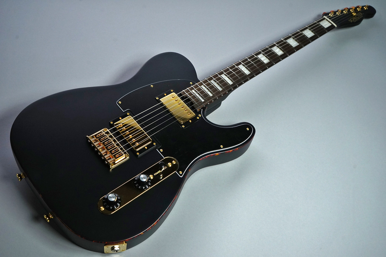 SCHECTER L-S-PT-AL-CTM/R 【ステンレスフレット・カスタムオーダー