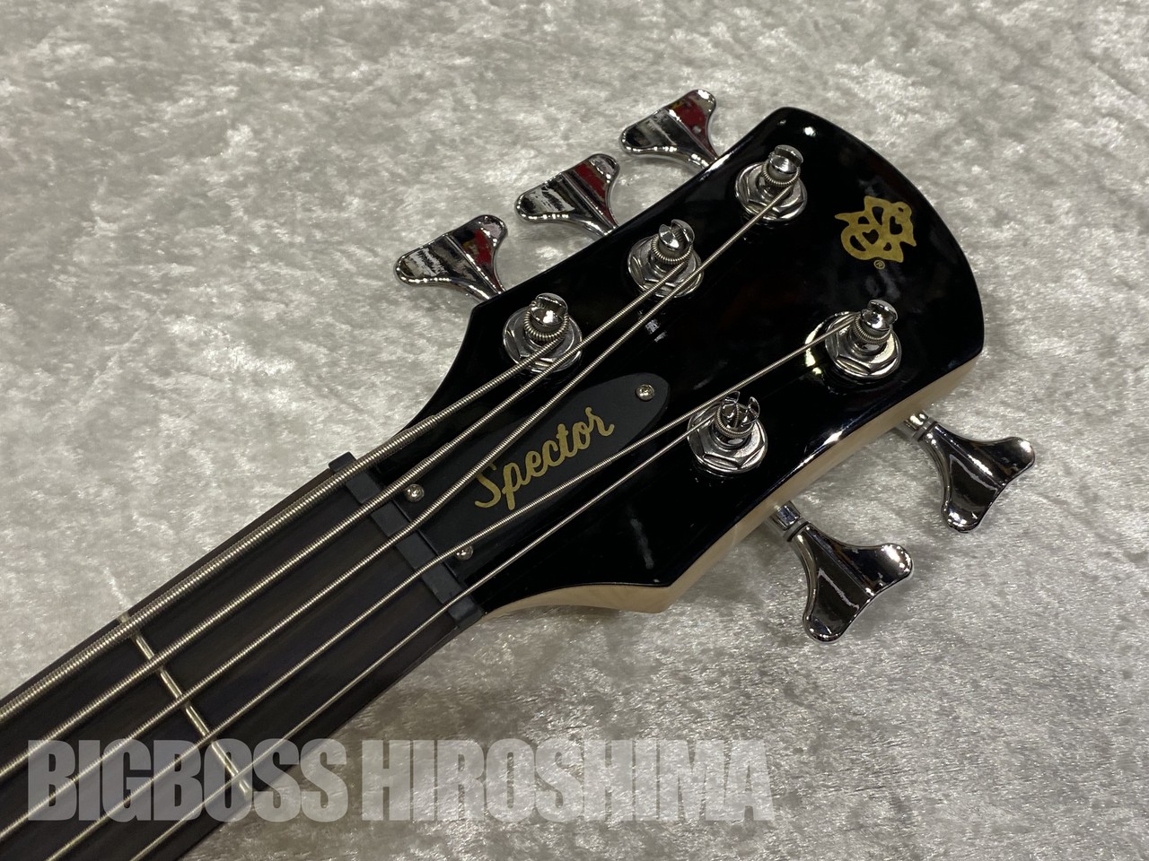 Spector Legend 5 Standard (Black Stain Gloss)（新品/送料無料