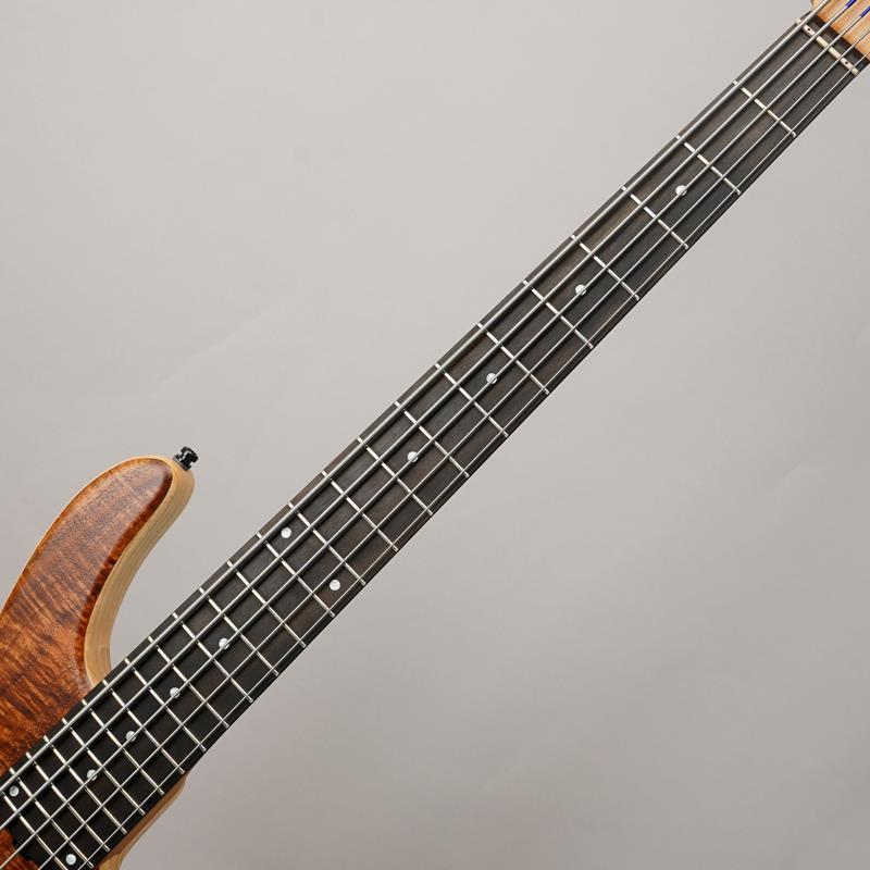 Sadowsky Limited Edition MetroLine 24-Fret Modern Bass 5st (AAA