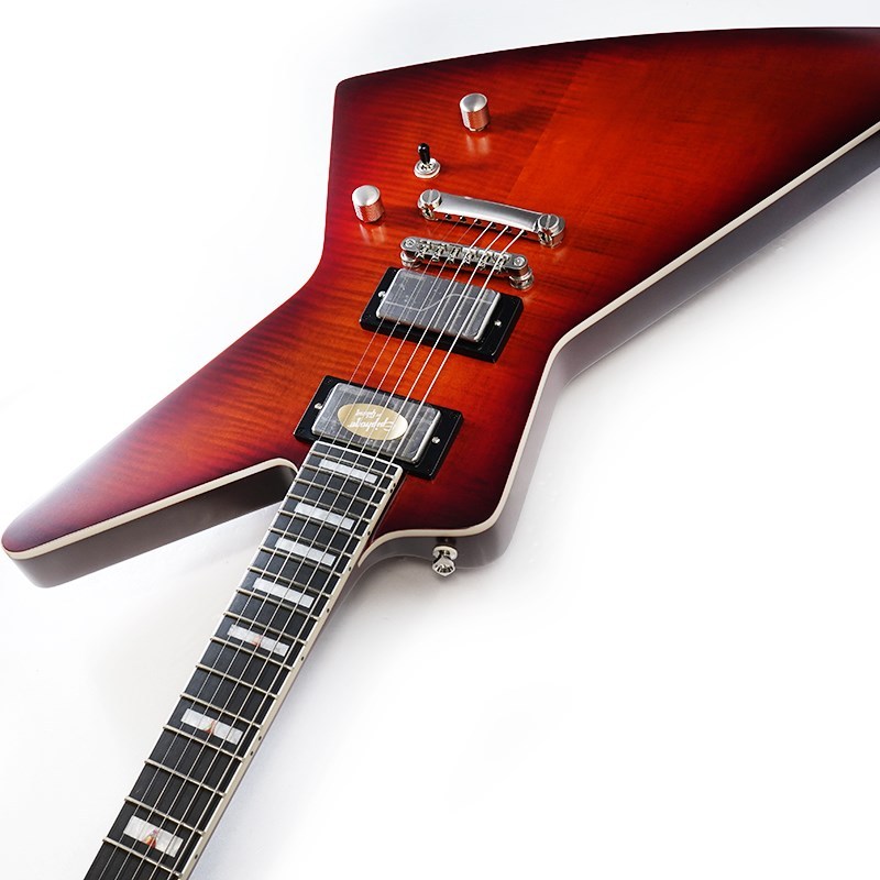 Epiphone Prophecy Extura (Aged Bengal Tiger Burst)（新品）【楽器
