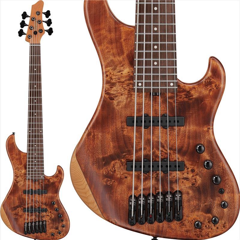 Ibanez MDM1606-NML [SPOT MODEL]（新品）【楽器検索デジマート】