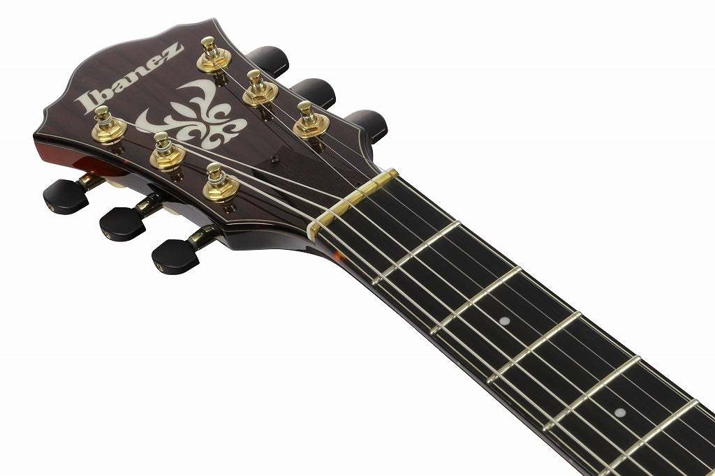 Ibanez ASH300-TBC (Tobacco Brown) アイバニーズ フルアコ（新品/送料