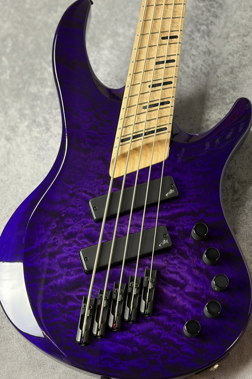 Acacia Guitars Atlas 5Strings - Purple Dip -【4.27kg】（新品