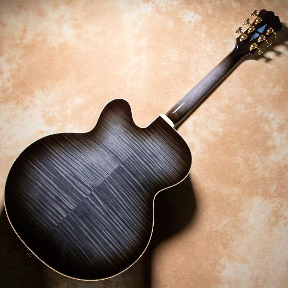 Aria Pro II FA-2100 SBK(See-through Black)【お取り寄せ商品】（新品