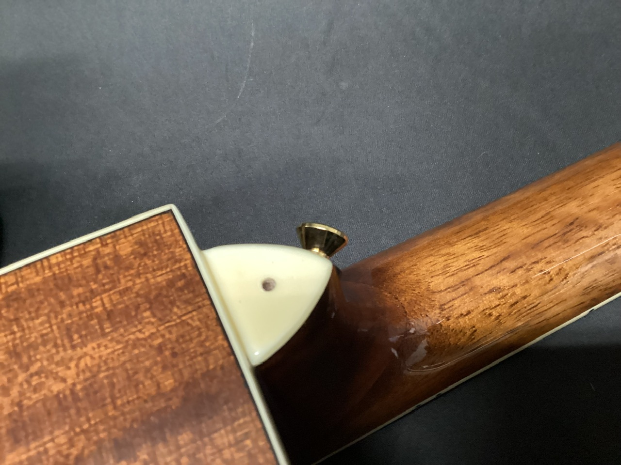 Morris R-011 TS (モーリス エレアコ R011 カッタウェイ )（中古