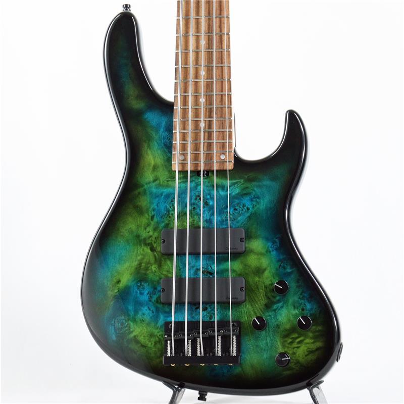 sadowsky ベース　ほぼ新品　人気商品 エレキベース 楽天市場】sadowsky（エレキベース｜ベース）：ギター・ベース