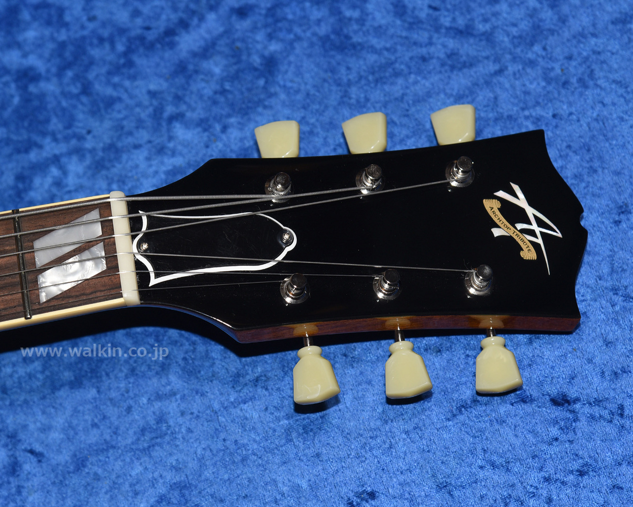 Archtop Tribute AT105 Classic（新品）【楽器検索デジマート】