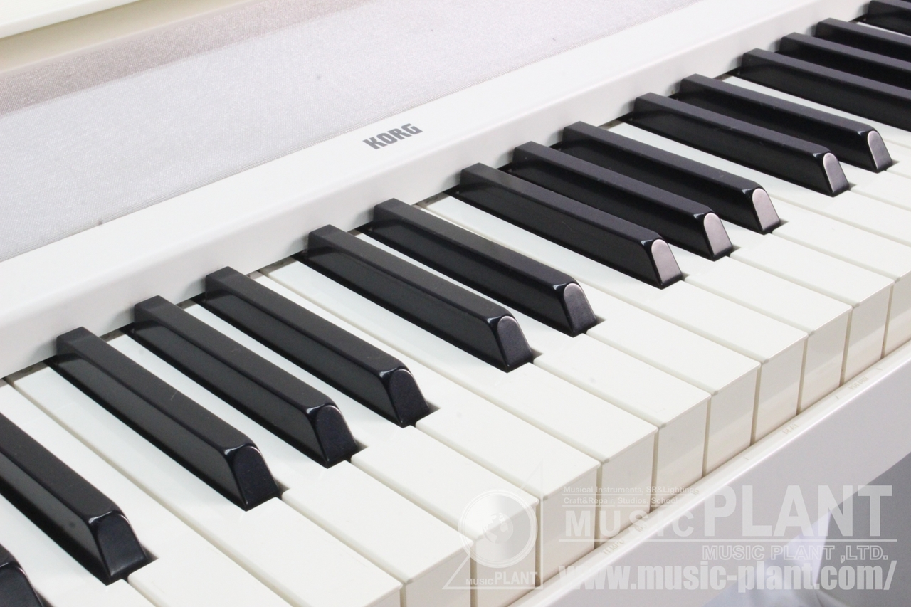 KORG B1-WH（中古）【楽器検索デジマート】