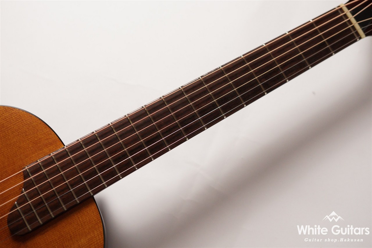 K.Yairi Nocturne F（中古/送料無料）【楽器検索デジマート】