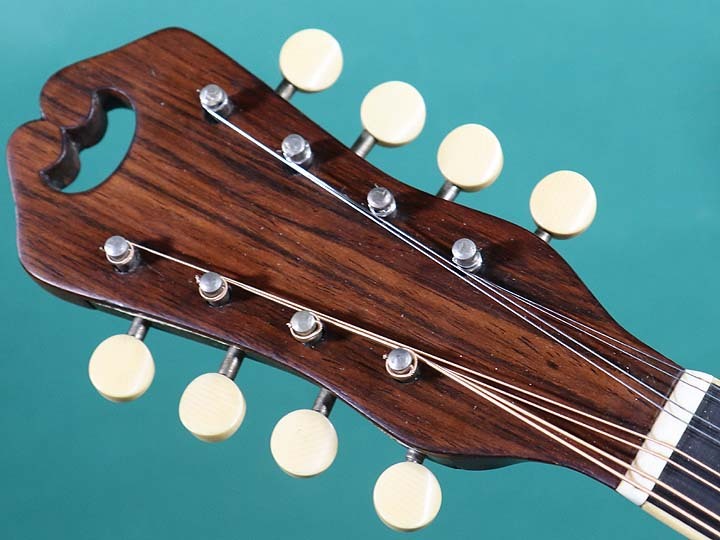 Martin STYLE-C（ビンテージ）【楽器検索デジマート】