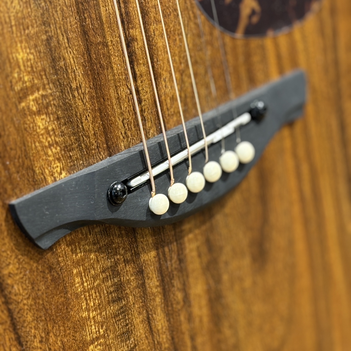 James J-100A MHT アコースティックギター ギグケース付属