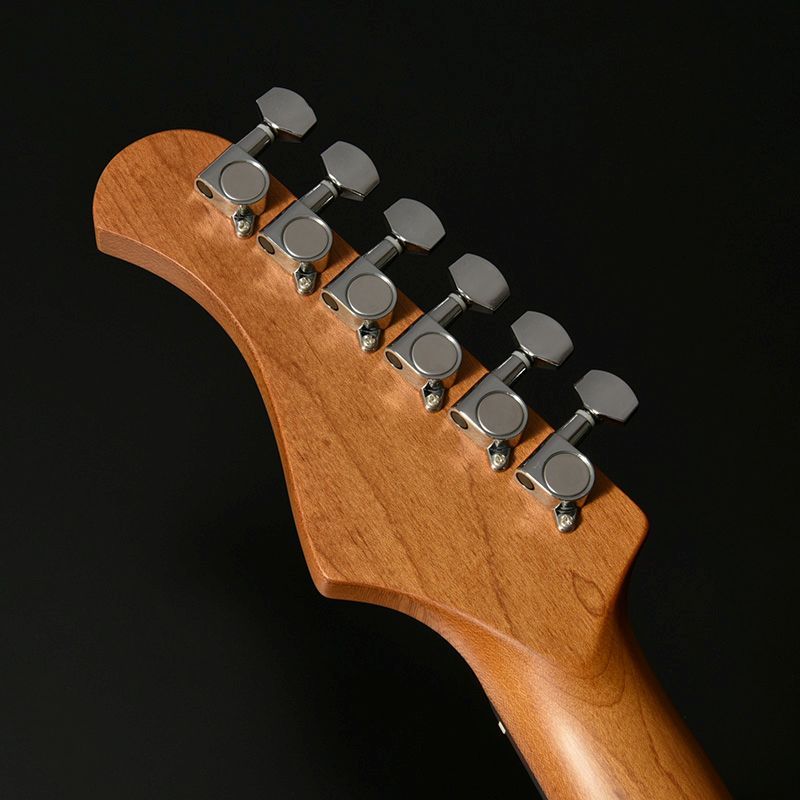 Bacchus BST-2-RSM/R-TTPG 3TS 3トーンサンバースト (べっ甲柄