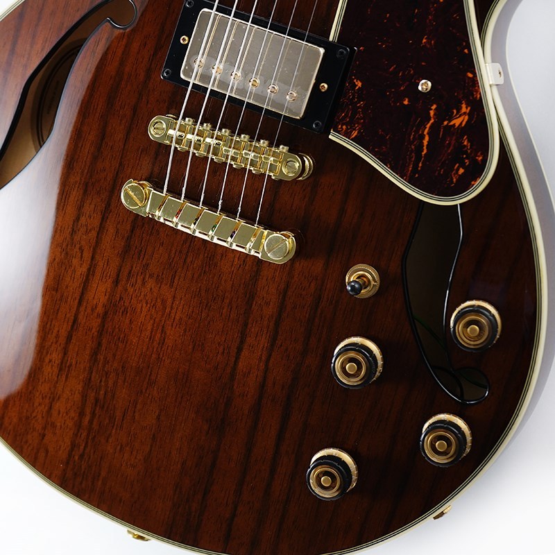 Ibanez Artcore Expressionist AM93ME-NT [SPOT MODEL]（新品）【楽器