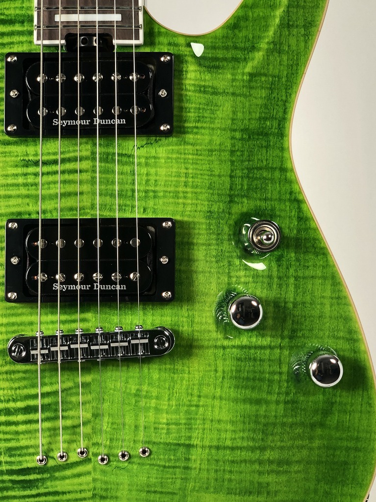 SCHECTER 【TAKAHIRO (FACT/SHADOWS)シグネチャーモデル】PA-SW/TH