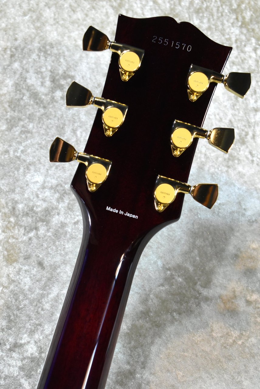 Tokai KLC-101 P-90 WR #2551570【マホガニートップ、クロサワ