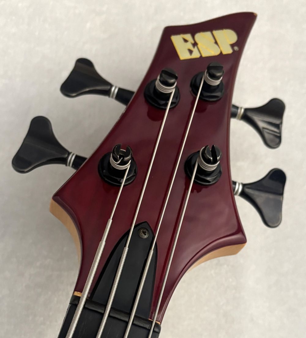 ESP FOREST BASS 4st PJ【USED】(中古)【楽器検索デジマート】 ESP FOREST BASS 4st PJ【USED】(中古)【楽器検索デジマート】
