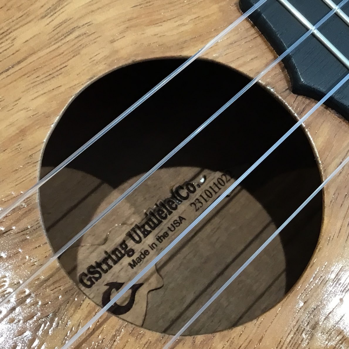 早く買おTN0405-71 2771 器 ウクレレ ジーストリング GString UKlele　Halawa Valley Hawaii 弦器 足跡 ソフトケース付き 本体 本体