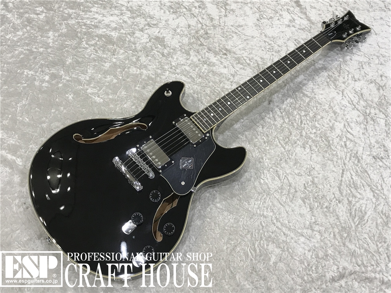 SCHECTER AD-CSR / Black