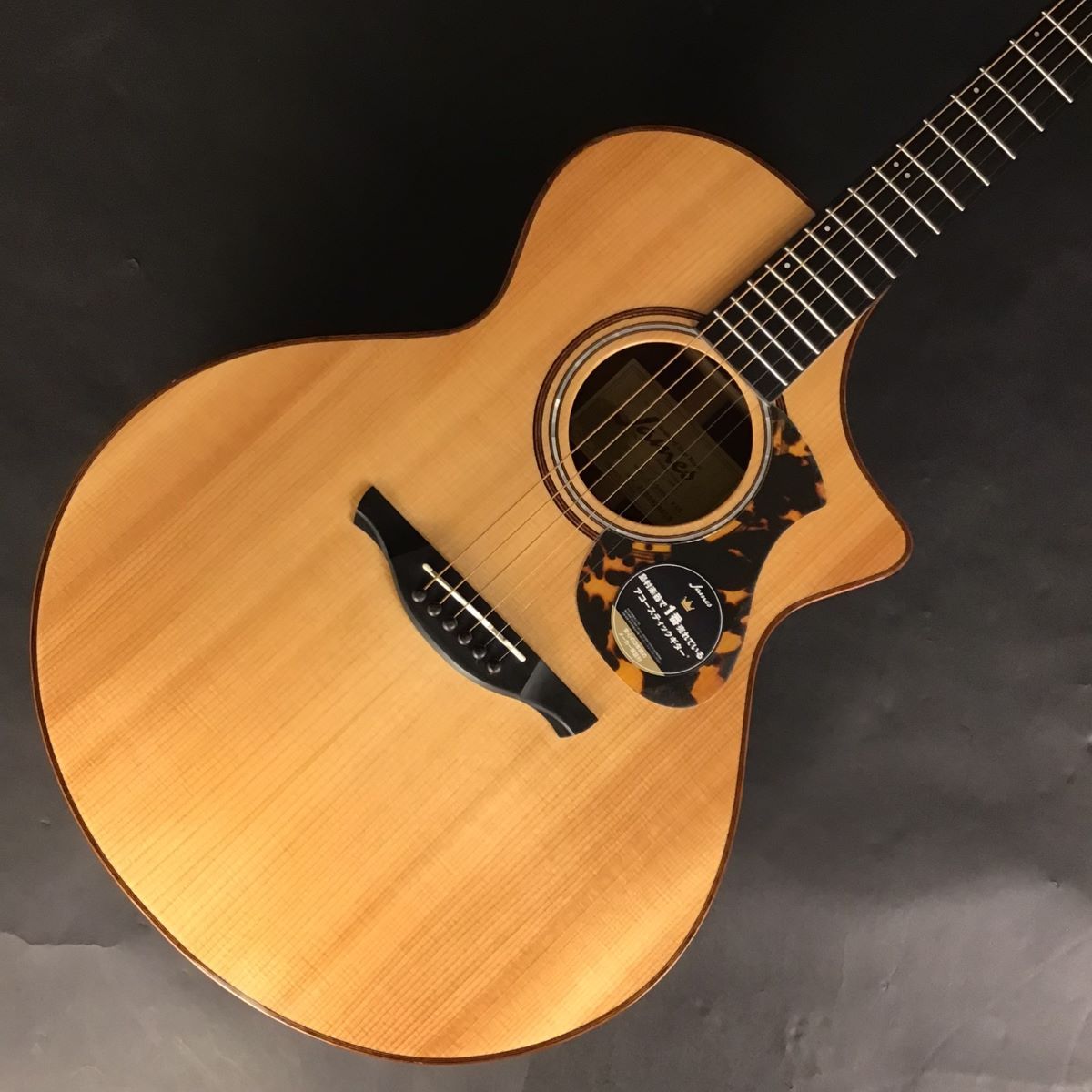 James J-900/C Natural L.R.Baggs PU搭載エレアコ オール単板