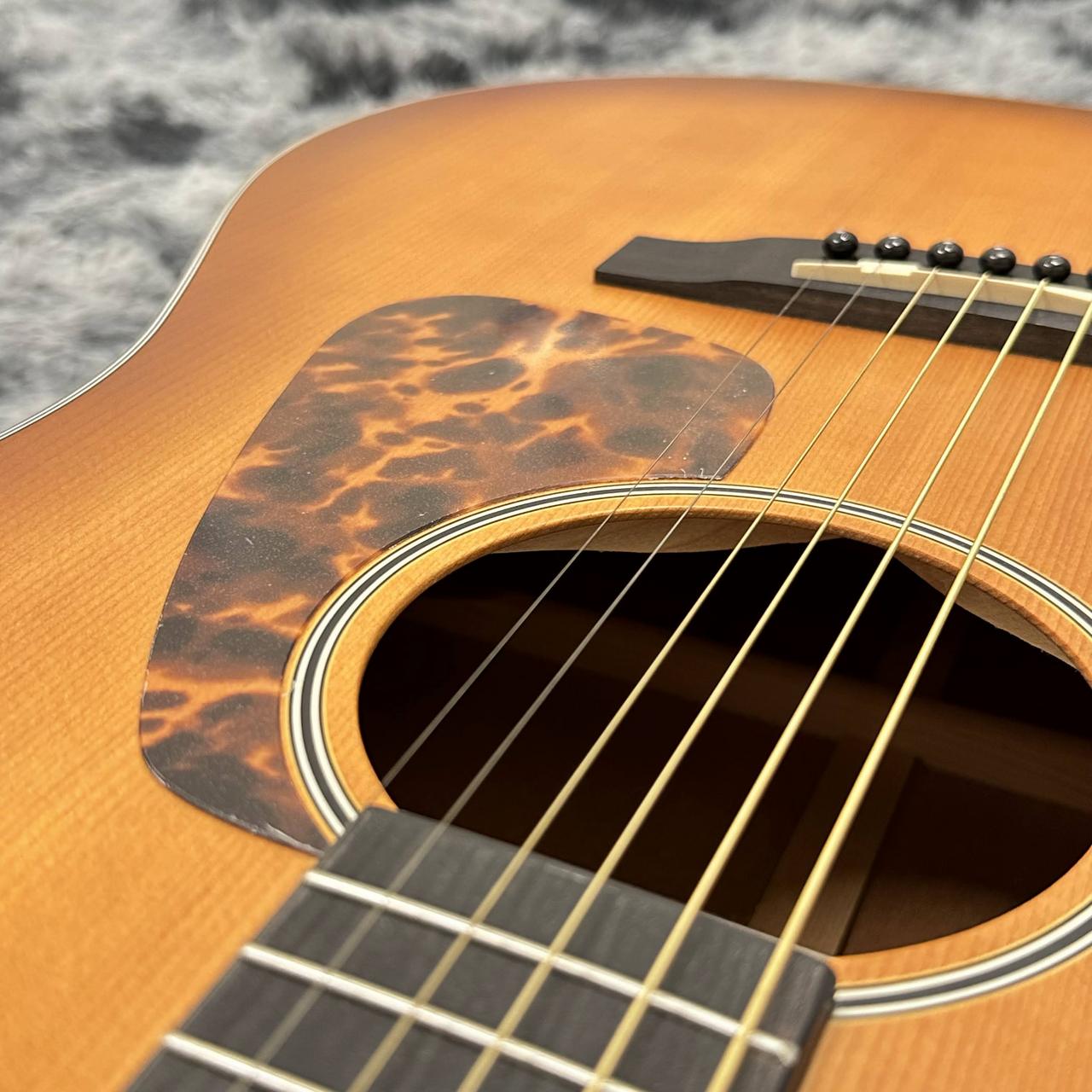 Morris M-021 VS «ヴァイオリンサンバースト»【厳選セール対象品