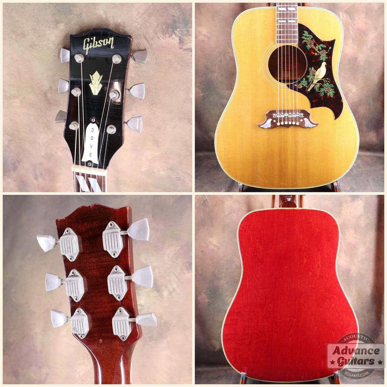 Gibson 1964年製 Dove Natural（ビンテージ）【楽器検索デジマート】