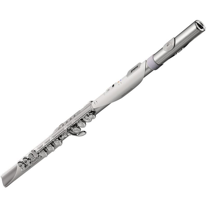 ローランド　デジタル管楽器　エアロフォン Roland 【新製品】 ローランド / Aerophone Brisa デジタル管楽器 AE