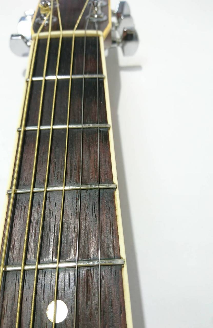 BlueBell W-500（ビンテージ）【楽器検索デジマート】