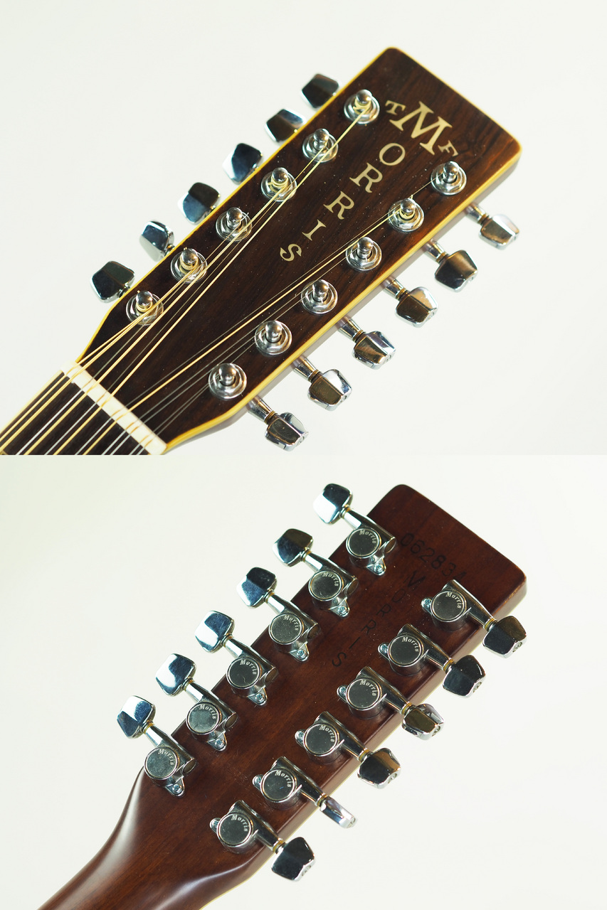 Morris B-50 (管理番号4984)（中古）【楽器検索デジマート】