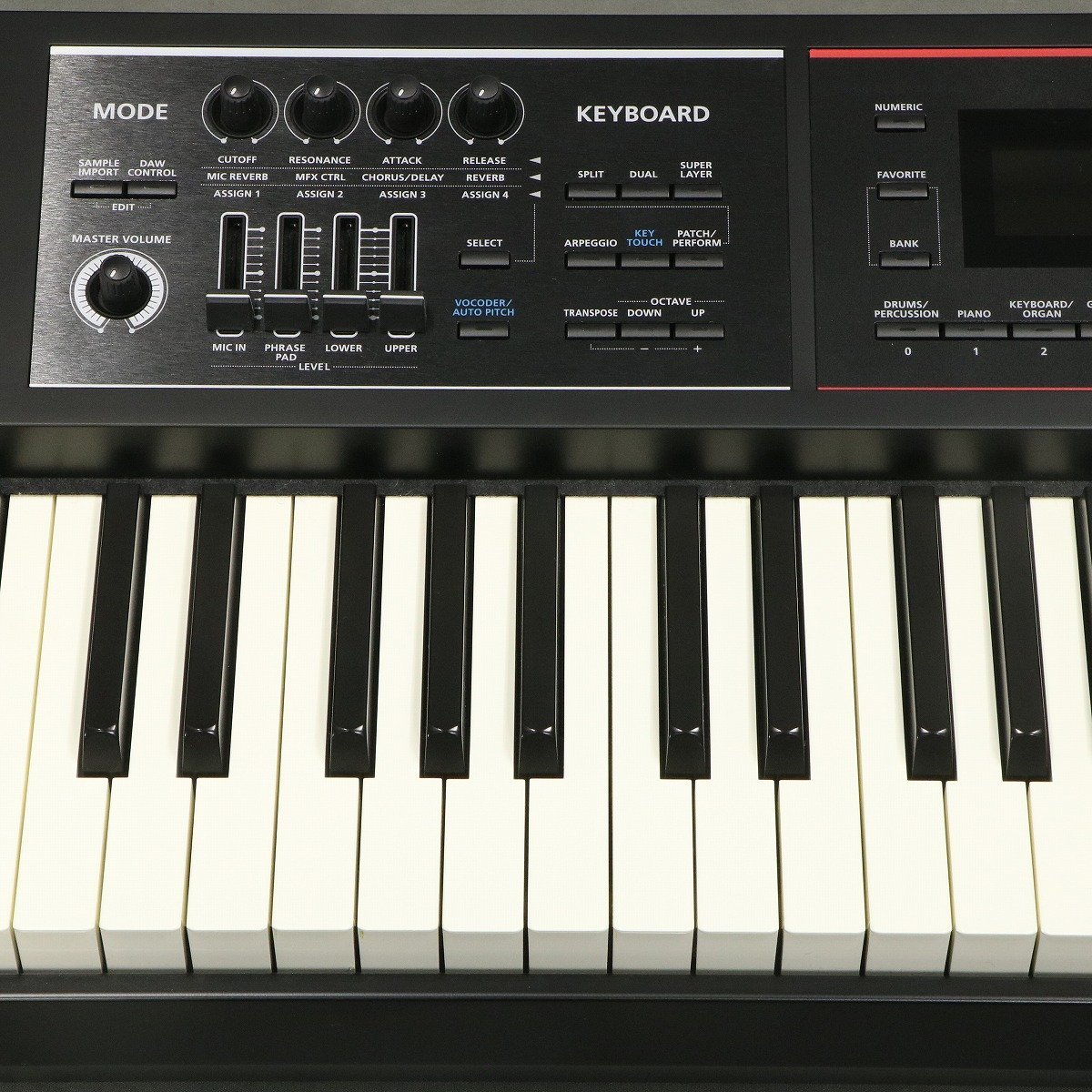 ROLAND　JUNO-DS88　キーボード Amazon | ローランド シンセサイザー Roland JUNO-DS88