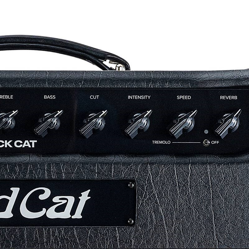 Bad Cat BLACK CAT 1x12 Combo 【数量限定「真っ黒」Tシャツ