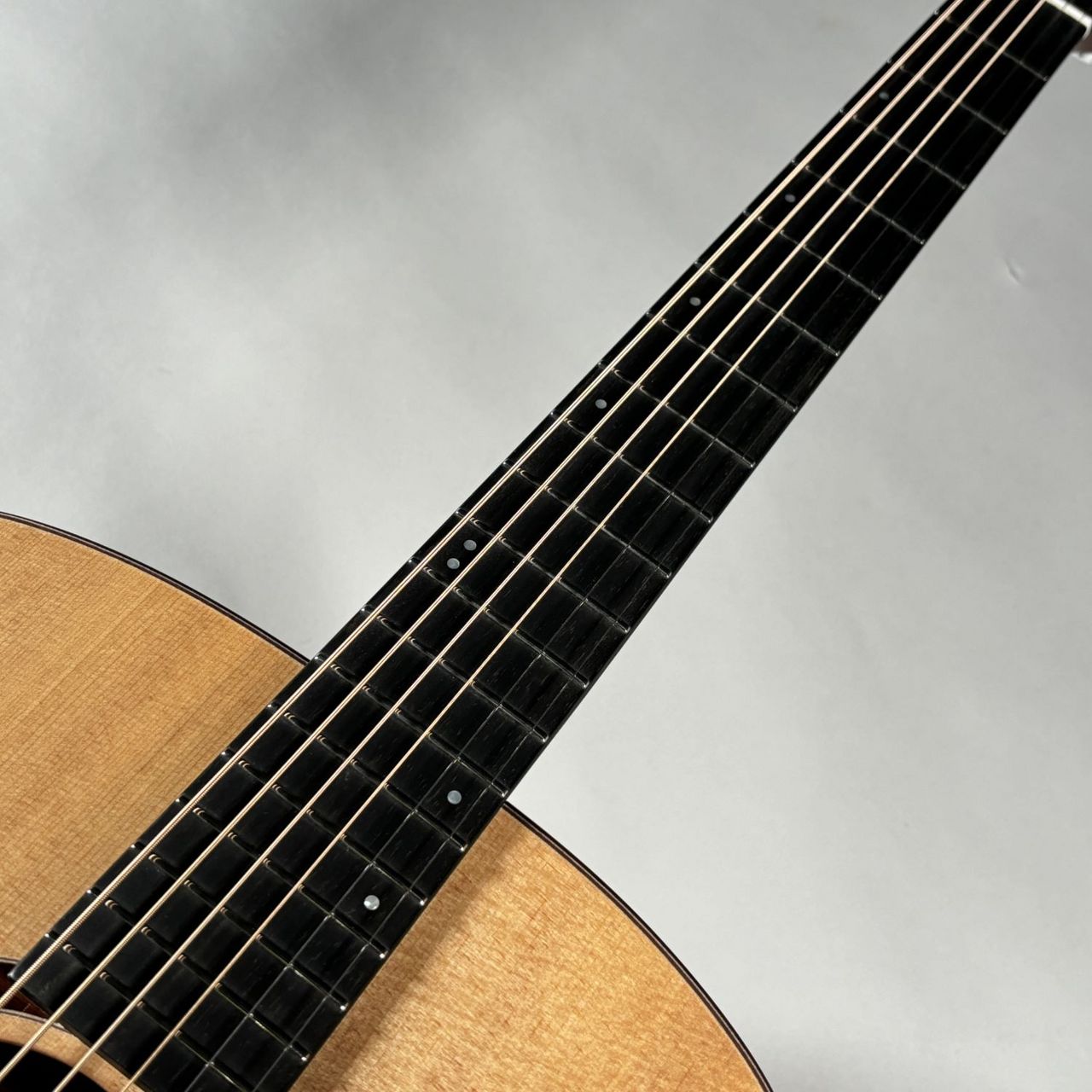 HISTORY NT-L4/Performance【オール単板/現物写真】（新品/送料無料