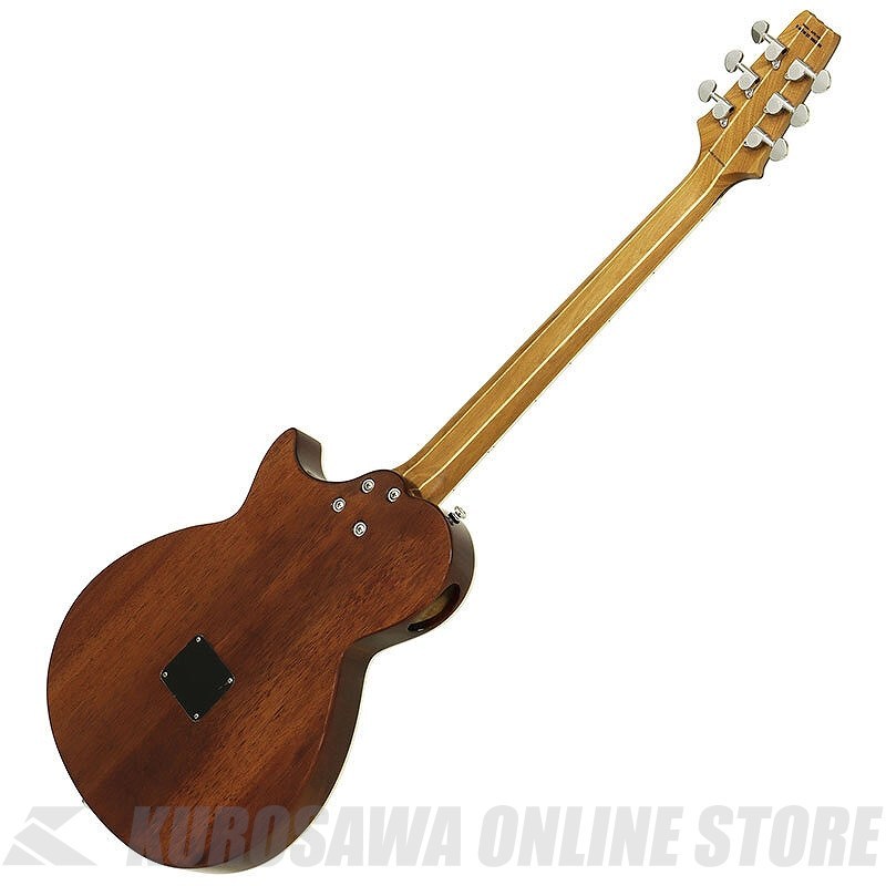 aria アコースティックギター ARIA（楽器） アリア アコギ アコースティックギター ARIA-101