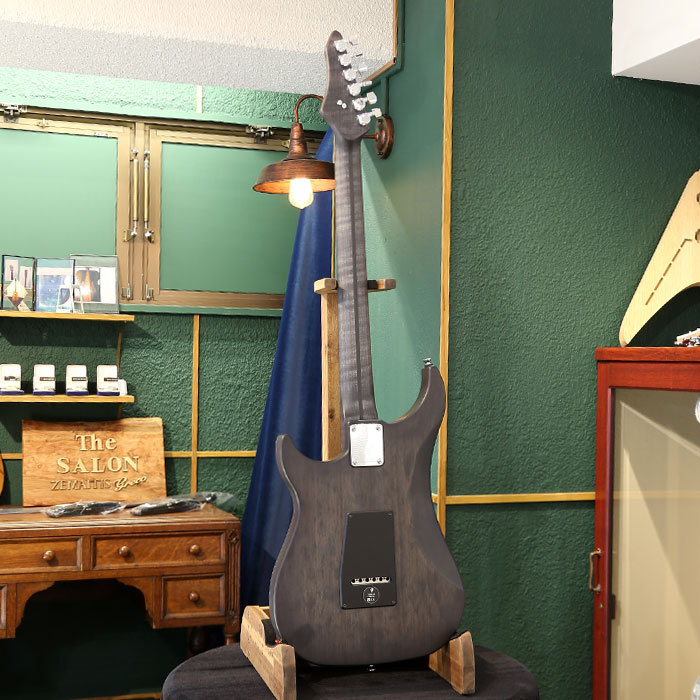 Vigier Guitars Excalibur Special VE6-CVSP1, Velours Noir